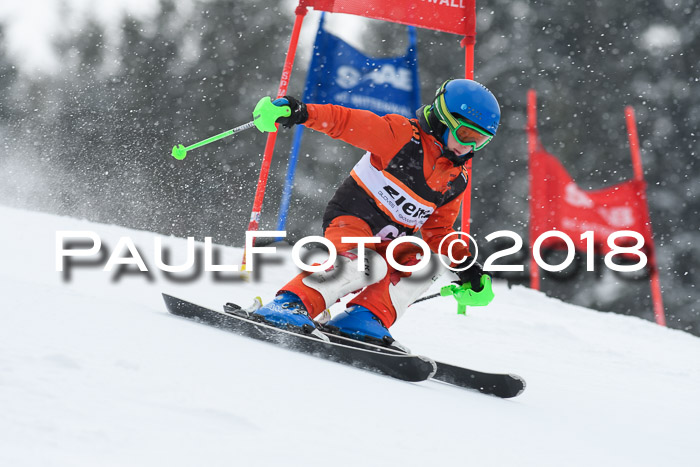 4. Ziener Cup WF, 25.02.2018