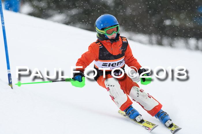 4. Ziener Cup WF, 25.02.2018