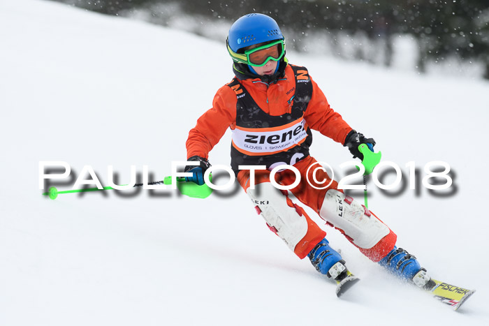 4. Ziener Cup WF, 25.02.2018