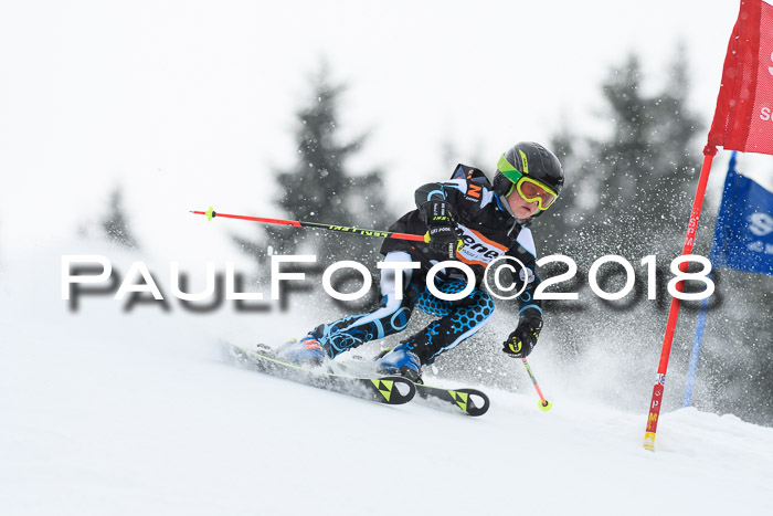 4. Ziener Cup WF, 25.02.2018