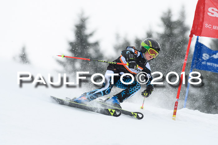 4. Ziener Cup WF, 25.02.2018