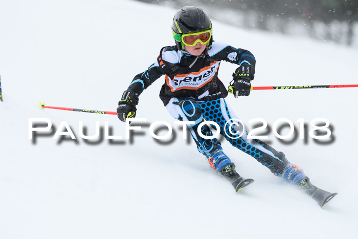 4. Ziener Cup WF, 25.02.2018