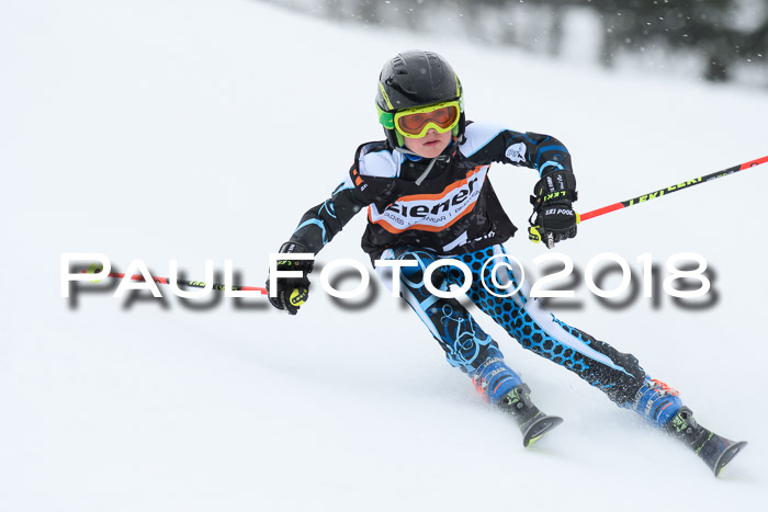 4. Ziener Cup WF, 25.02.2018