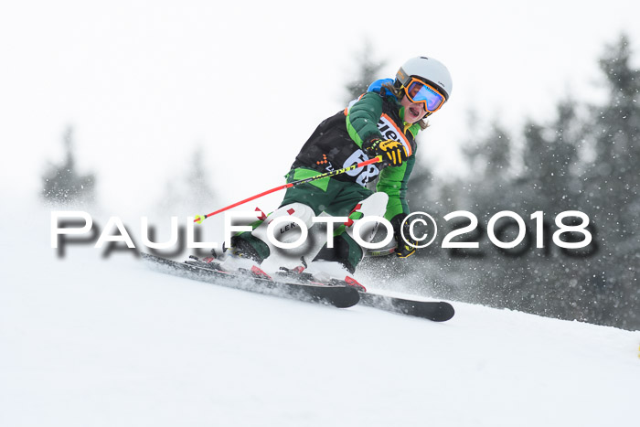 4. Ziener Cup WF, 25.02.2018
