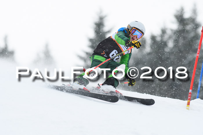 4. Ziener Cup WF, 25.02.2018