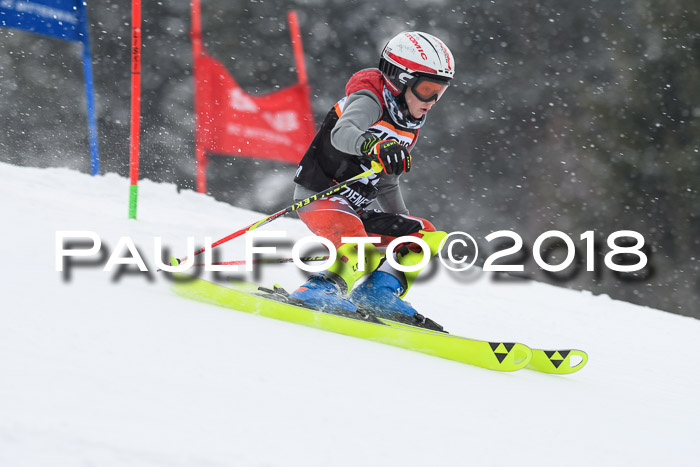 4. Ziener Cup WF, 25.02.2018