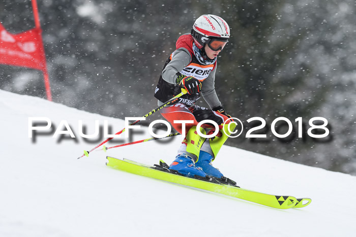 4. Ziener Cup WF, 25.02.2018