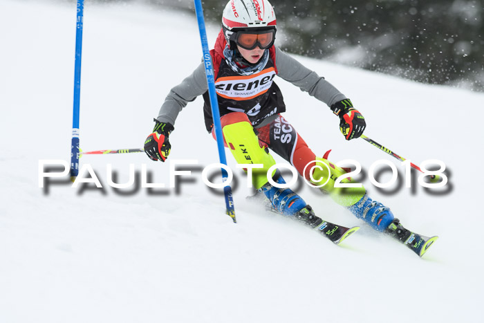 4. Ziener Cup WF, 25.02.2018