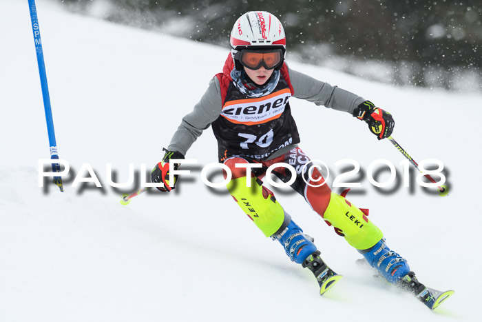 4. Ziener Cup WF, 25.02.2018