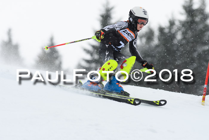 4. Ziener Cup WF, 25.02.2018