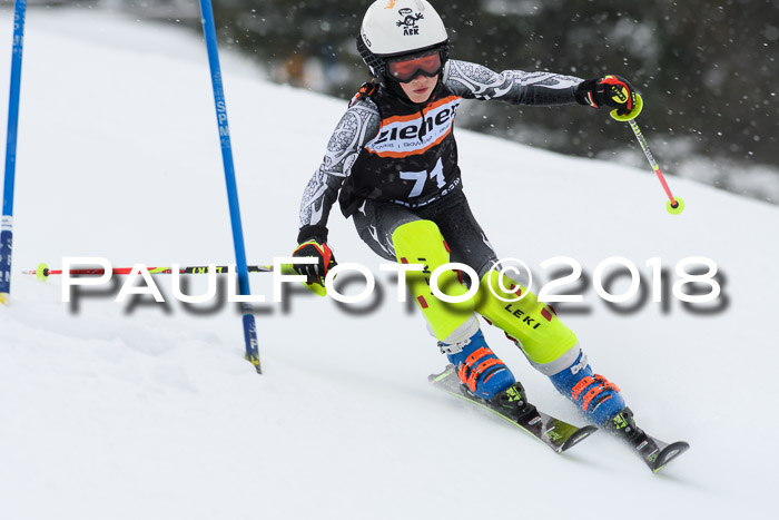 4. Ziener Cup WF, 25.02.2018