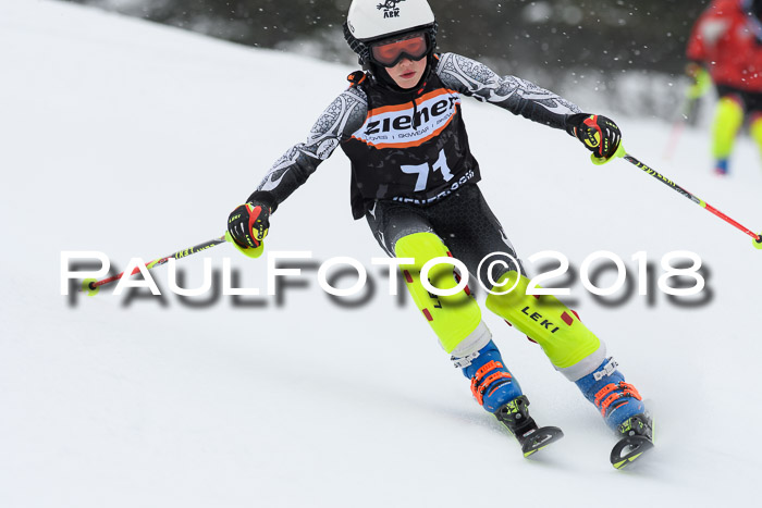 4. Ziener Cup WF, 25.02.2018