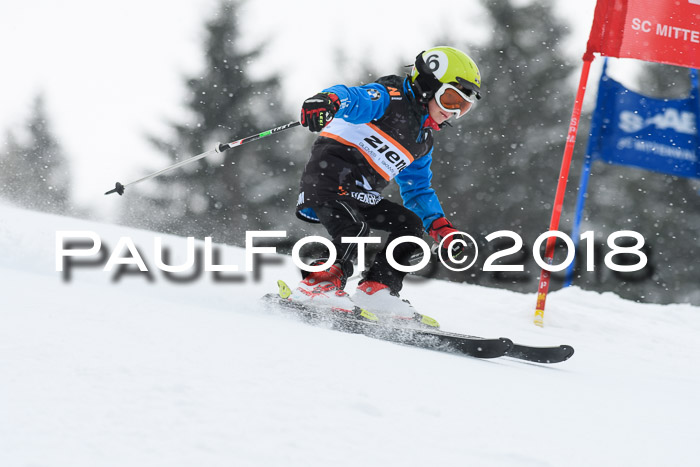 4. Ziener Cup WF, 25.02.2018