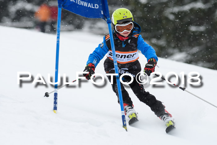 4. Ziener Cup WF, 25.02.2018