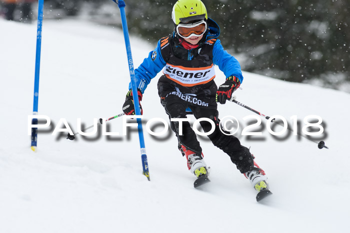 4. Ziener Cup WF, 25.02.2018