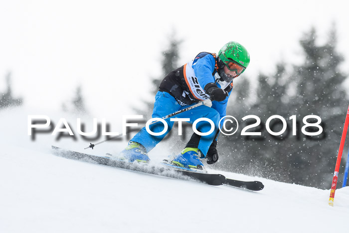4. Ziener Cup WF, 25.02.2018