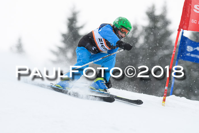 4. Ziener Cup WF, 25.02.2018