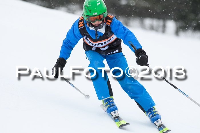 4. Ziener Cup WF, 25.02.2018