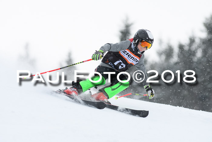 4. Ziener Cup WF, 25.02.2018