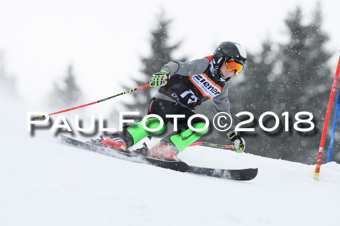 4. Ziener Cup WF, 25.02.2018