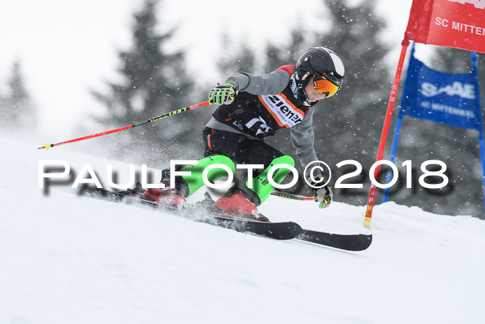 4. Ziener Cup WF, 25.02.2018