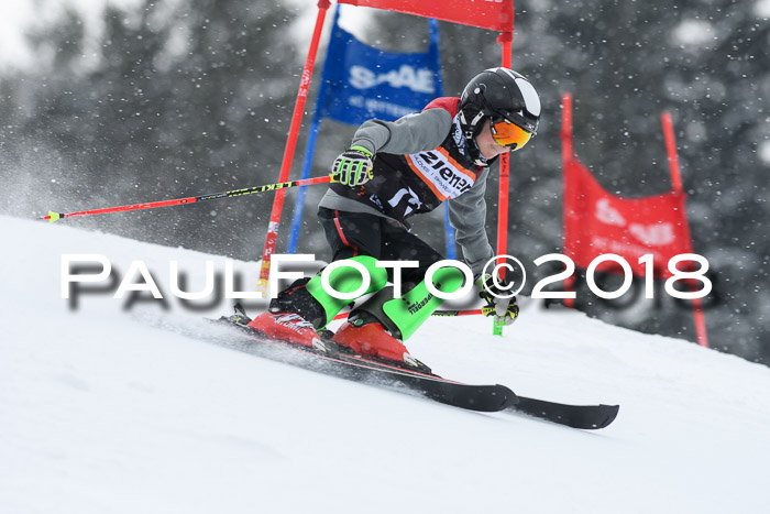4. Ziener Cup WF, 25.02.2018