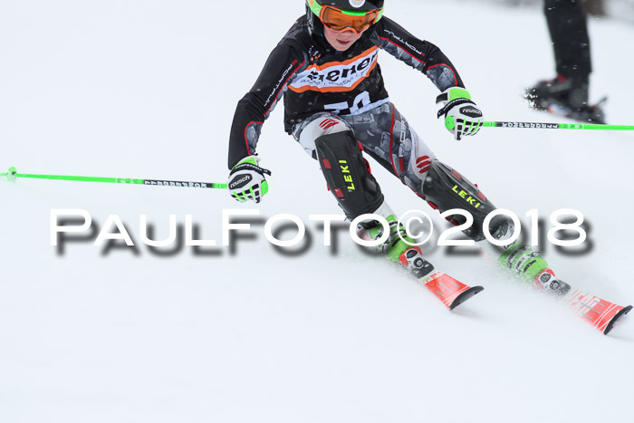 4. Ziener Cup WF, 25.02.2018