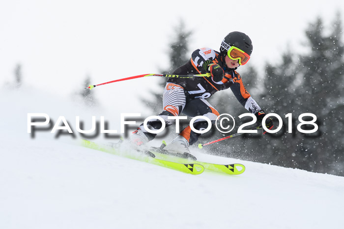 4. Ziener Cup WF, 25.02.2018