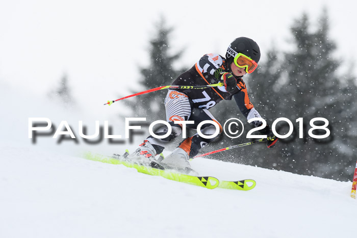 4. Ziener Cup WF, 25.02.2018