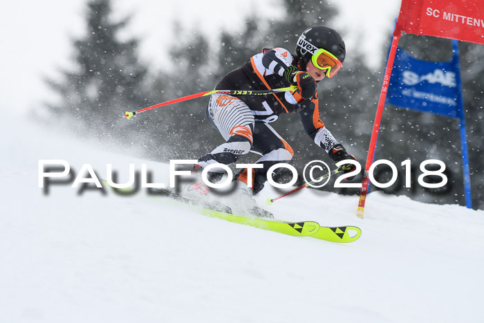 4. Ziener Cup WF, 25.02.2018