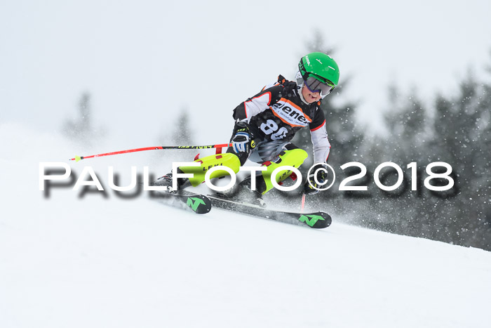 4. Ziener Cup WF, 25.02.2018