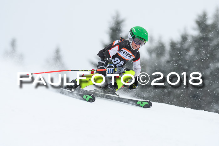 4. Ziener Cup WF, 25.02.2018