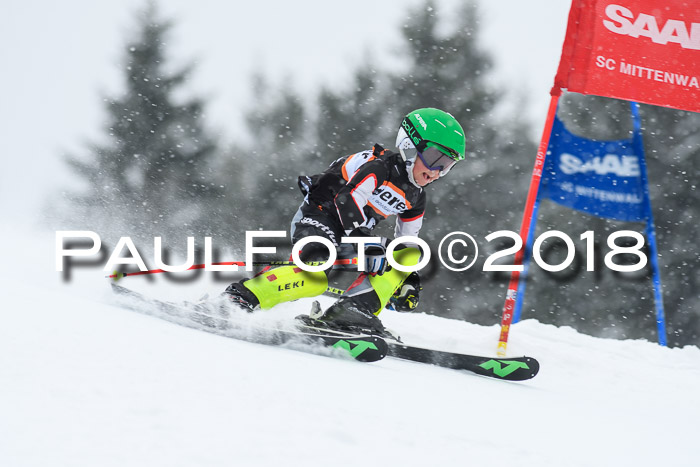 4. Ziener Cup WF, 25.02.2018