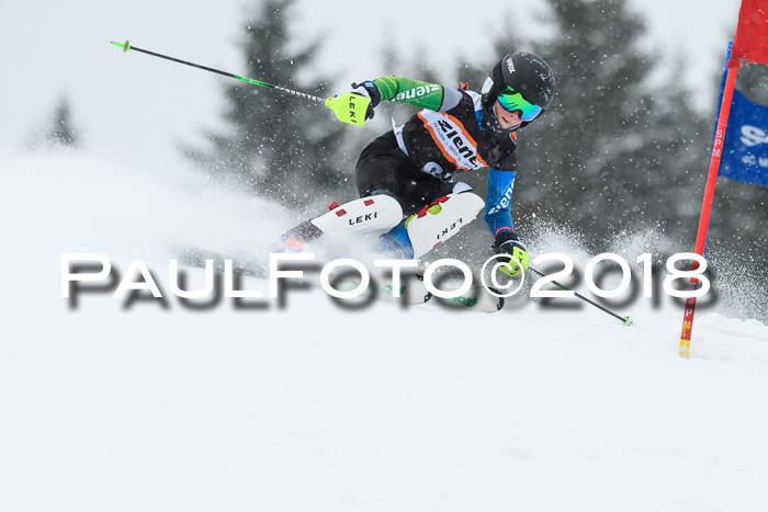 4. Ziener Cup WF, 25.02.2018