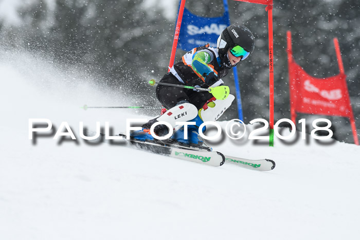 4. Ziener Cup WF, 25.02.2018