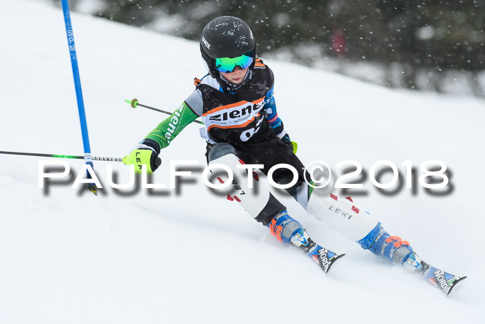 4. Ziener Cup WF, 25.02.2018