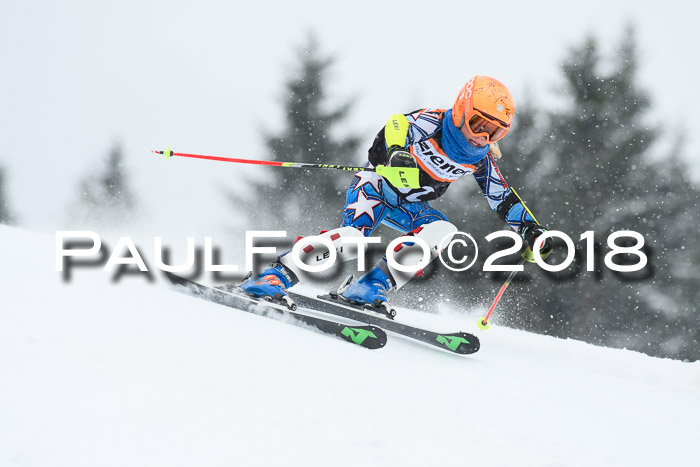 4. Ziener Cup WF, 25.02.2018