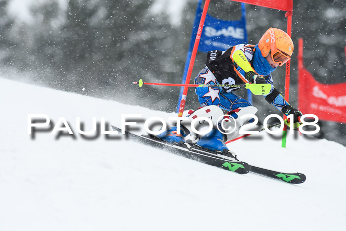 4. Ziener Cup WF, 25.02.2018