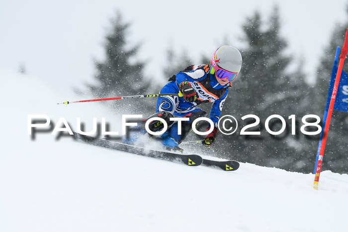 4. Ziener Cup WF, 25.02.2018