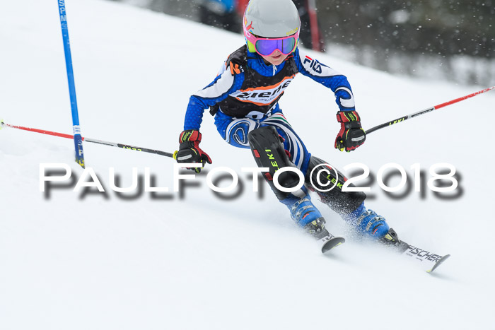 4. Ziener Cup WF, 25.02.2018