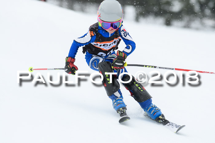 4. Ziener Cup WF, 25.02.2018