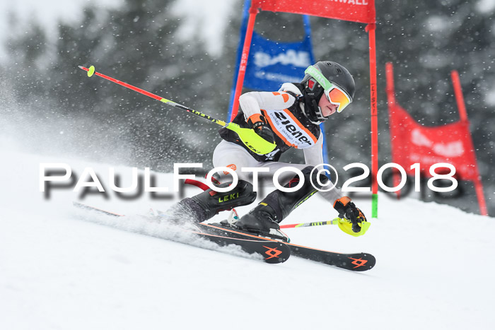 4. Ziener Cup WF, 25.02.2018