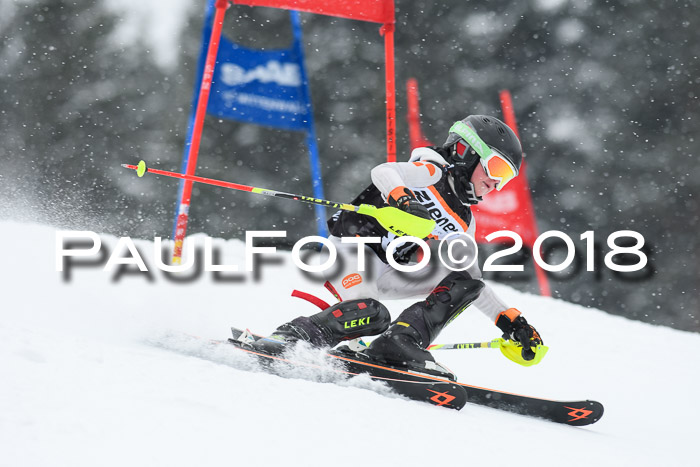 4. Ziener Cup WF, 25.02.2018