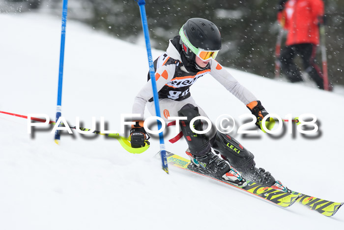 4. Ziener Cup WF, 25.02.2018
