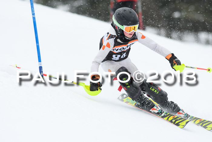 4. Ziener Cup WF, 25.02.2018