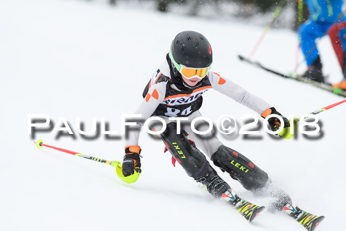 4. Ziener Cup WF, 25.02.2018