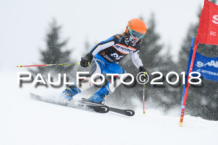 4. Ziener Cup WF, 25.02.2018