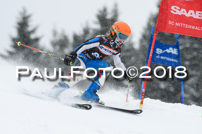 4. Ziener Cup WF, 25.02.2018