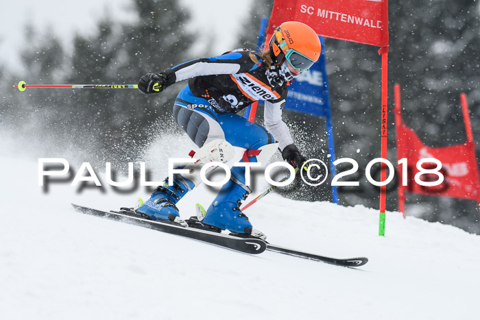 4. Ziener Cup WF, 25.02.2018