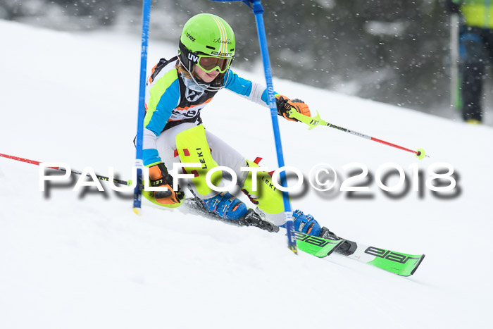 4. Ziener Cup WF, 25.02.2018